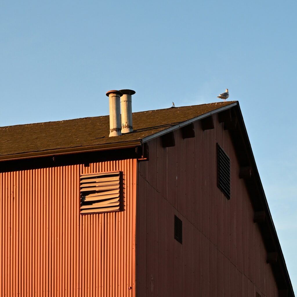 jonathan-lim--tUJH9lcG5I-unsplash